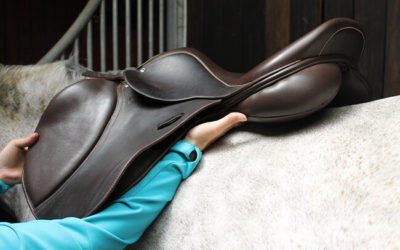 Saddler versus Saddle Fitter – The great confusion!