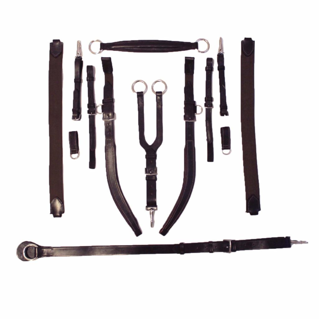 Bliss Infinity 3 Point Breastplate Girth Strap Bliss of London