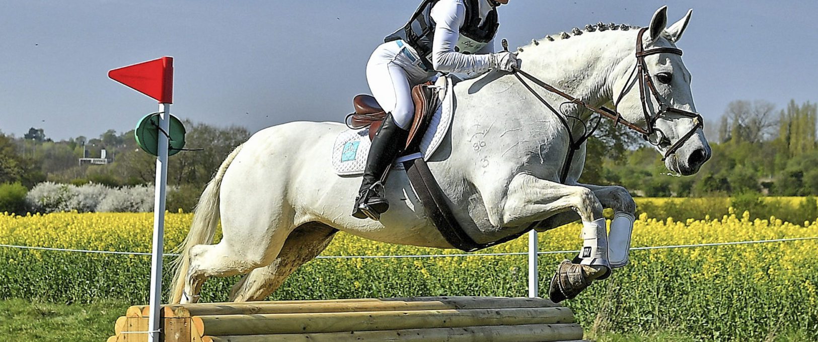 Loxley Foxhunter LX Alex Ettie