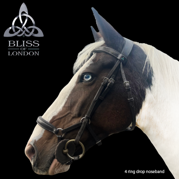 whistle drop noseband