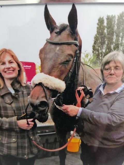 Saddle fitting for RoR’s with the Paramour Dressage