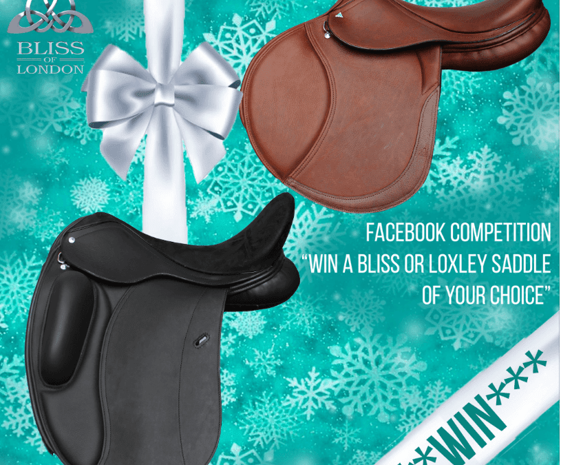 Win a Bliss or Loxley Saddle