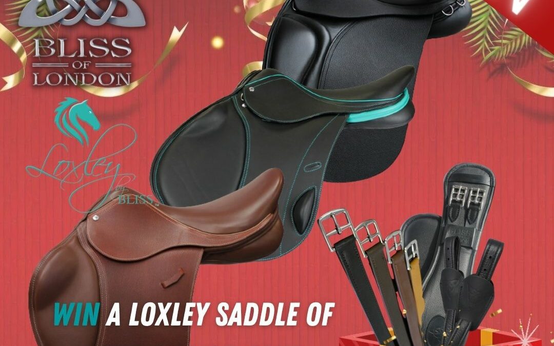 Win a Loxley Saddle PLUS Accessories 2023