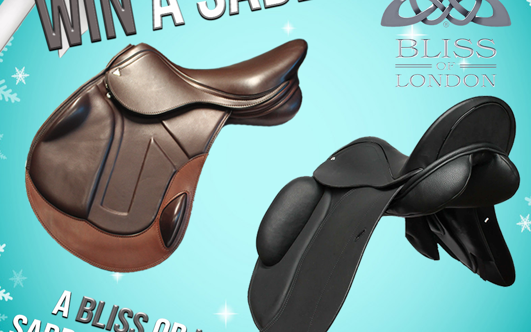 Win a Bliss or Loxley Saddle of your choice 2024