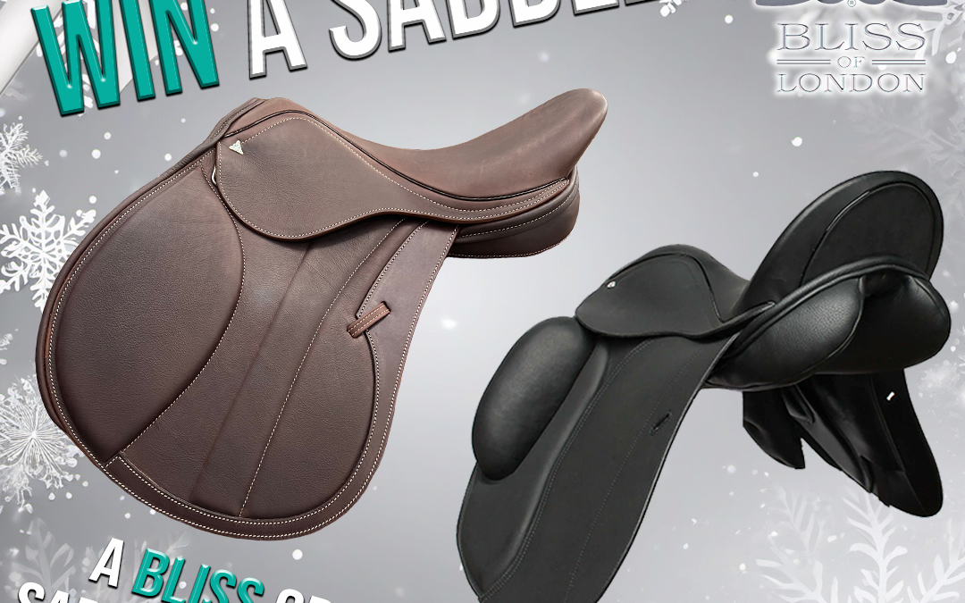 Win a Bliss or Loxley Saddle of your choice 2025