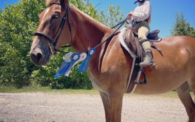 Young rider, Madison riding Daisy the Mule