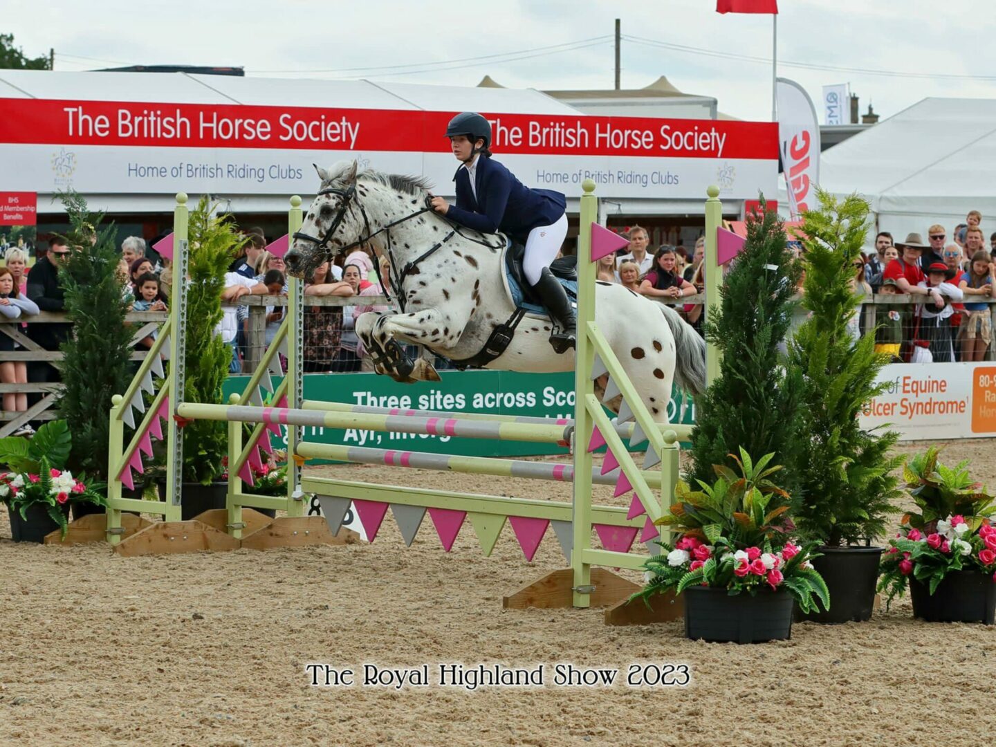 apple ray paramour nubuck KB Sponsored rider