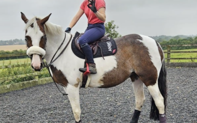 Saddle fitting issues – solved!!