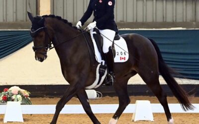 Fine Tuning Nardando’s Saddle – at Bliss of London with Sponsored rider Roberta Sheffield..