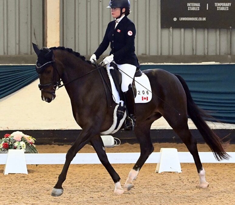 Fine Tuning Nardando’s Saddle – at Bliss of London with Sponsored rider Roberta Sheffield..